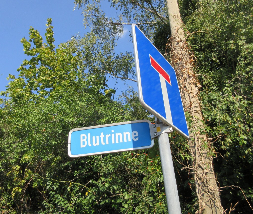 Blutrinne1