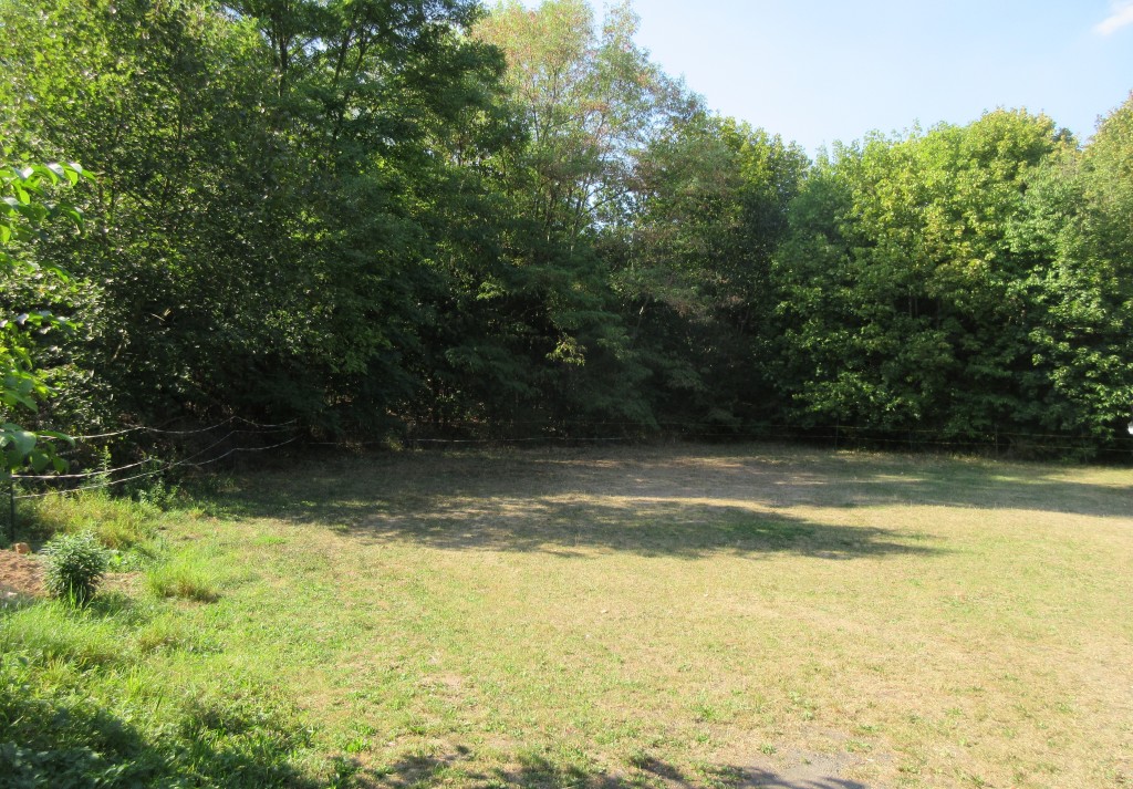 ErschießungsortFrankenhausen1