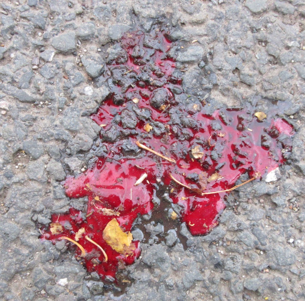HerbstIgelBlut1