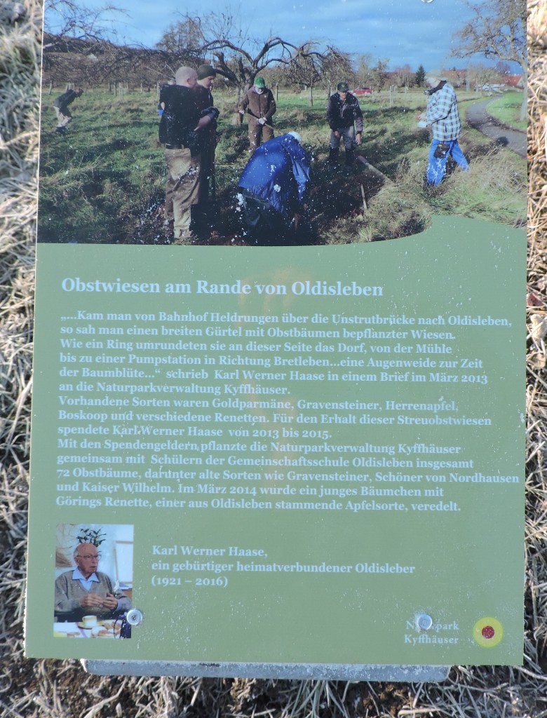 GöhringsRenette3