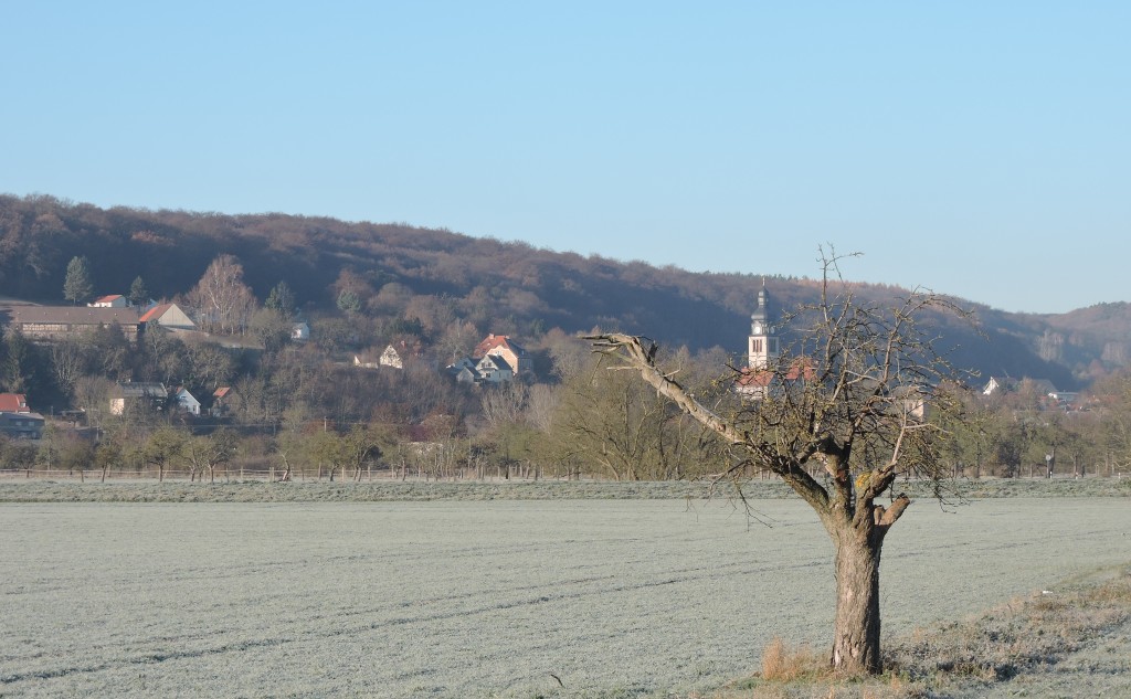 OldHerbst162
