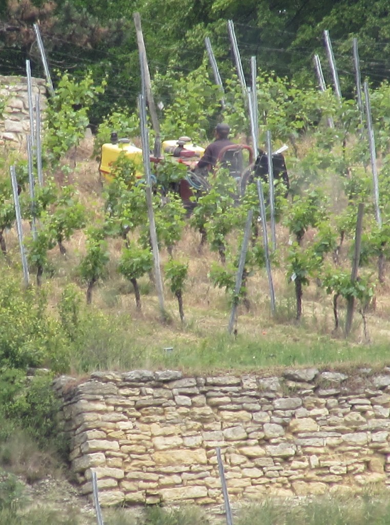Freyburg5