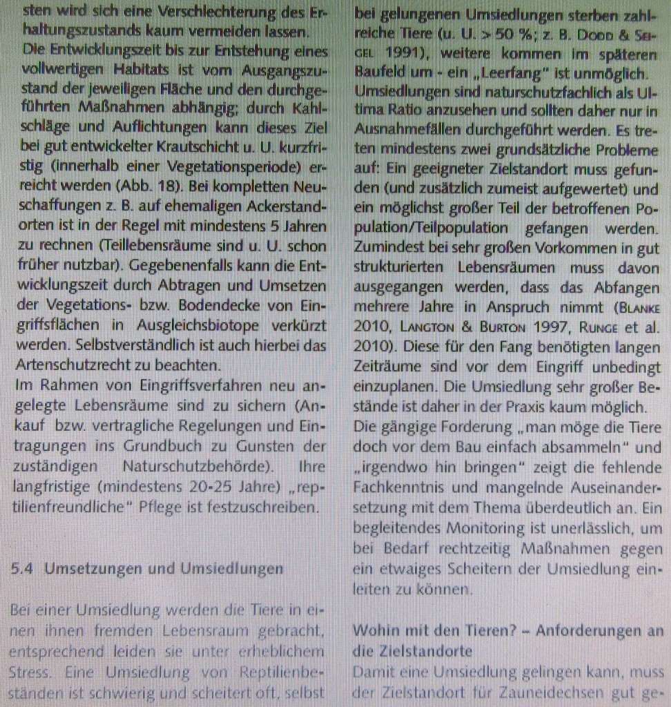 ZauneidechsenUmsiedlungenStudie