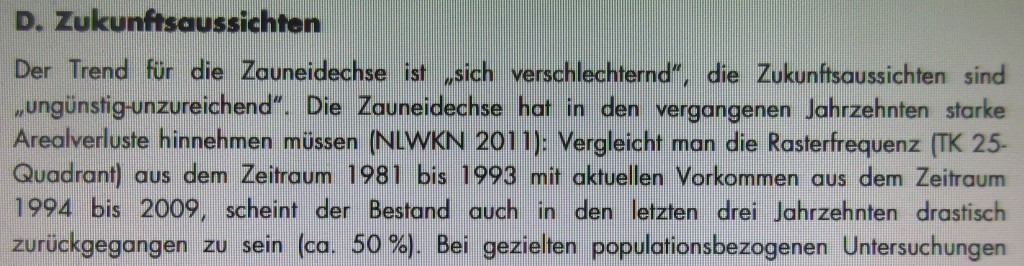 ZauneidechsenZukunftsaussichtenBfN
