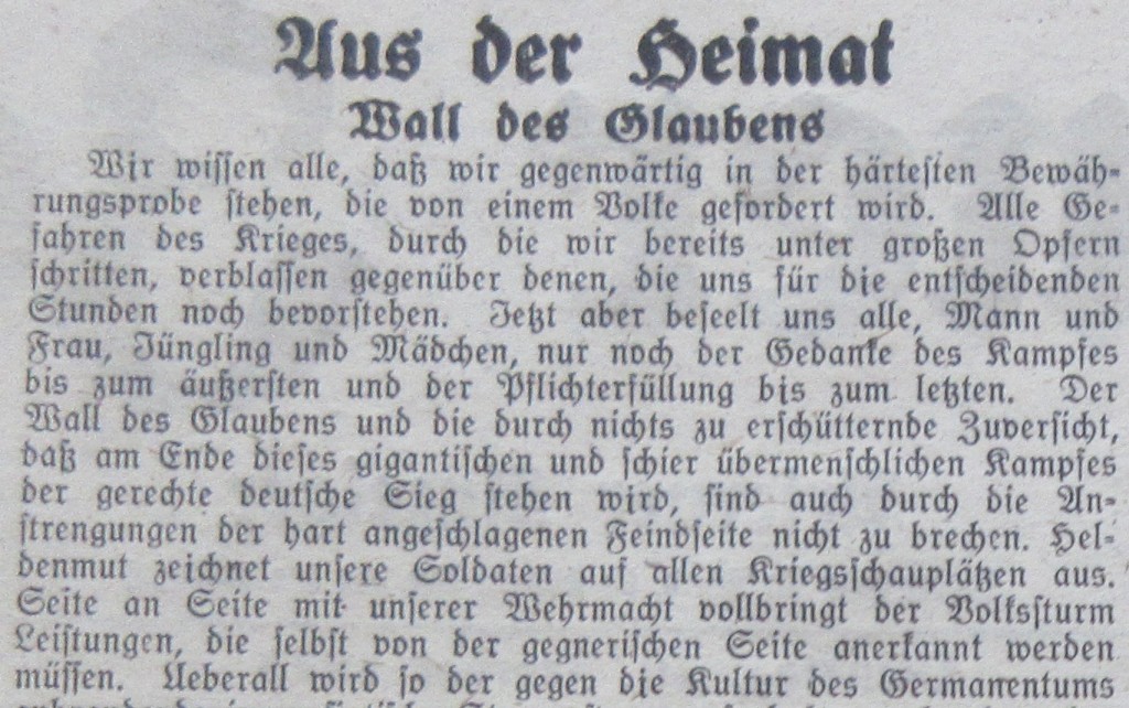 Nazizeitung21