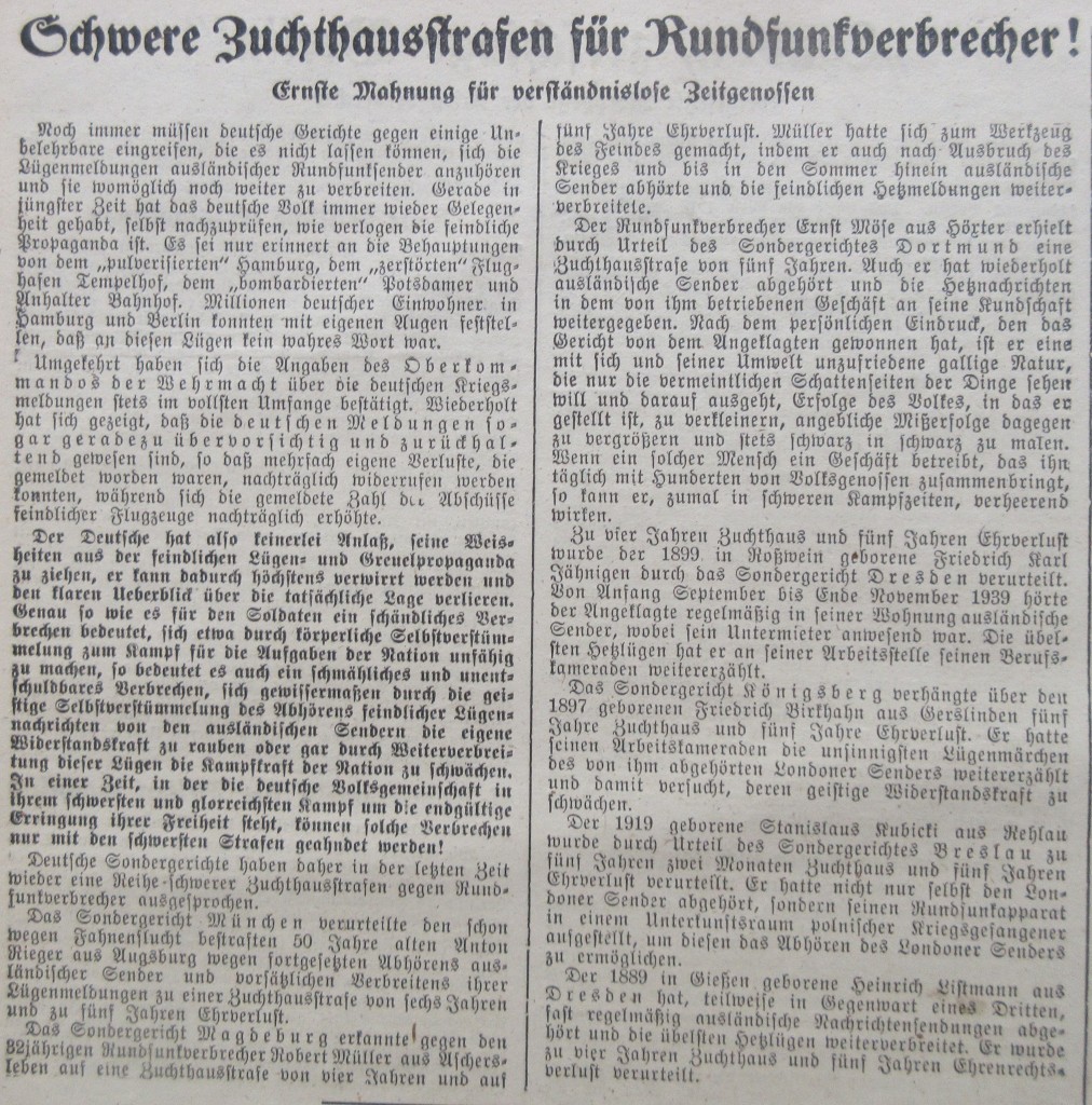 Nazizeitung9