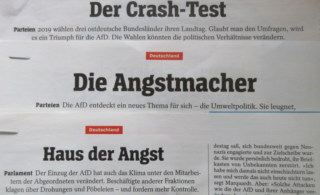 AfDSpiegelWahlen19