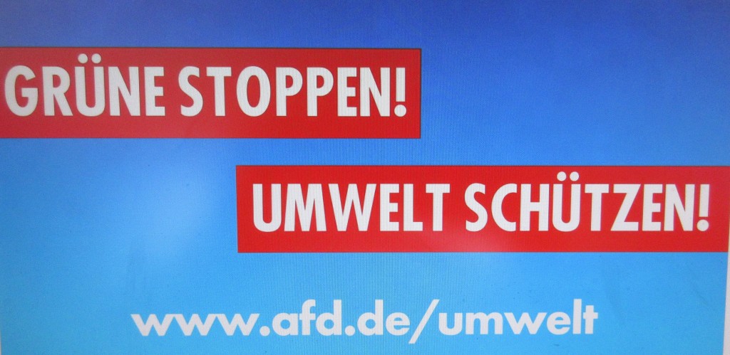 AfDGrünestoppen19