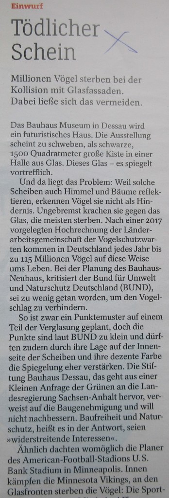 BauhausVögel1