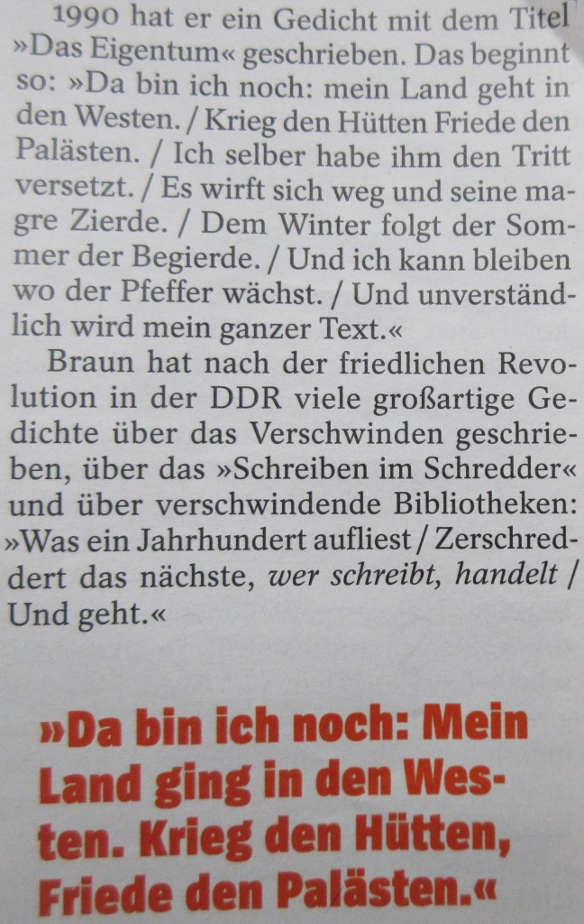 BraunHüttenPaläste19