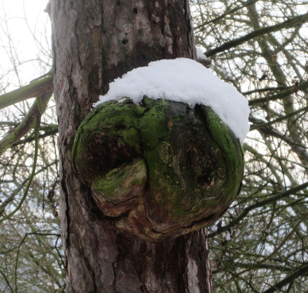 Schnee4