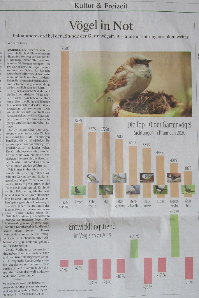 NabuZählung202