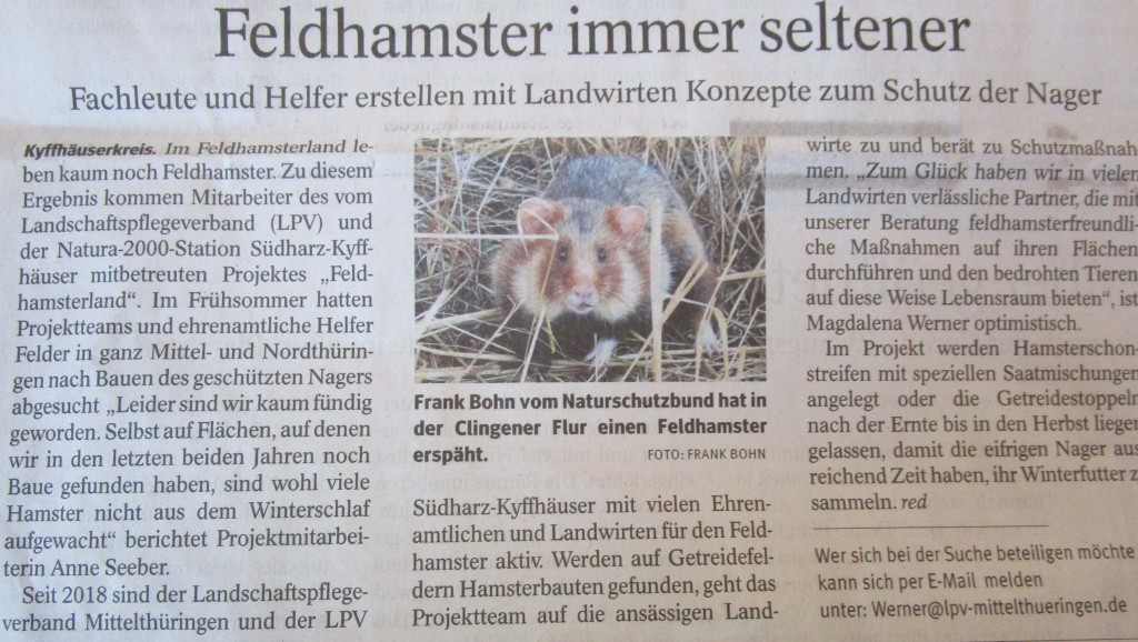 Hamster20