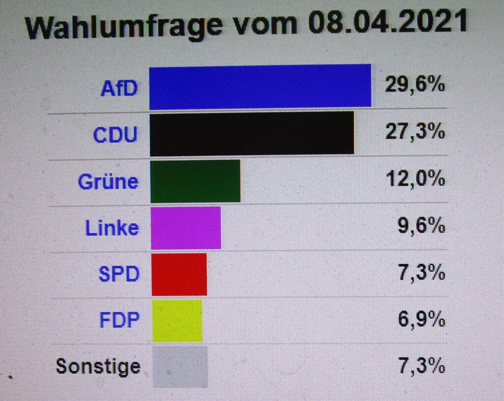 AfDSachsenUmfrage21